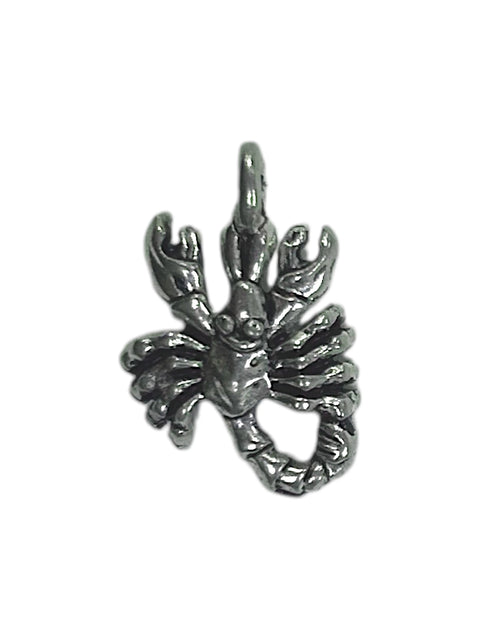 Handcrafted Silver Scorpion Pewter Pendant Charm – Detailed Desert-Inspired Jewelry | Made in USA Michelle Marie Boutique  Charms and Pendants