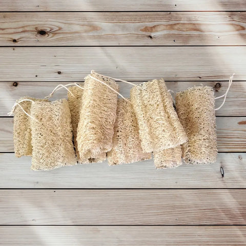 Handmade 3 to 3.5 Inch Natural Loofah Exfoliating Sponges with Hanging Yarn – Sustainable Bath Care | Made in USA by Frances Farm & Craft Frances Farm & Craft 