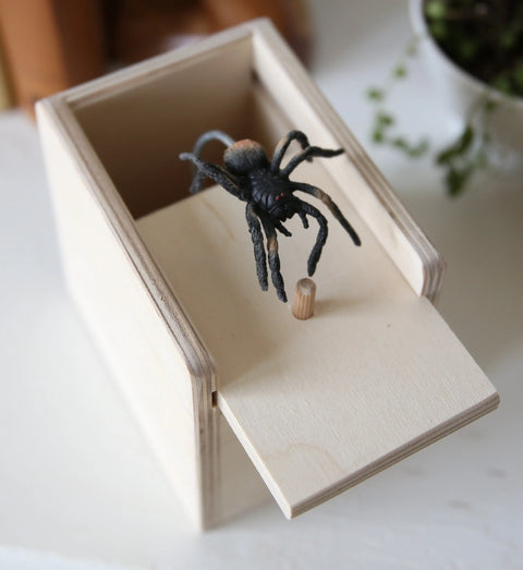 Handmade Wooden Spider Prank Box 4.75 Inch – Lifelike Surprise Toy | Amish Crafted in USA Amish Toy Box  Wooden Toys