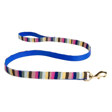 Handwoven Colorful Dog Leash – Durable Nylon Backing – Vibrant Beach Style | Made in USA Auburn Leathercrafters  item