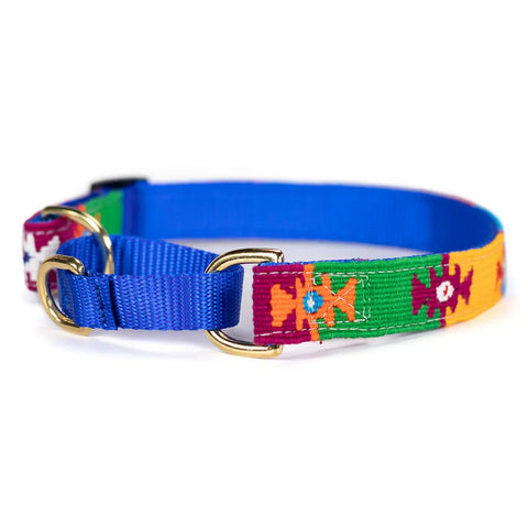 Handwoven Martingale Dog Collar 1 Inch Wide Adjustable 11-30 Inch – Durable Nylon & Brass | Made in USA Auburn Leathercrafters  item