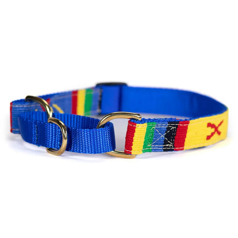 Handwoven Martingale Dog Collar 1 Inch Wide Adjustable 11-30 Inch – Durable Nylon & Brass | Made in USA Auburn Leathercrafters  item