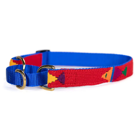 Handwoven Martingale Dog Collar 1 Inch Wide Adjustable 11-30 Inch – Durable Nylon & Brass | Made in USA Auburn Leathercrafters  item