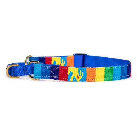 Handwoven Martingale Dog Collar 1 Inch Wide Adjustable 11-30 Inch – Durable Nylon & Brass | Made in USA Auburn Leathercrafters  item