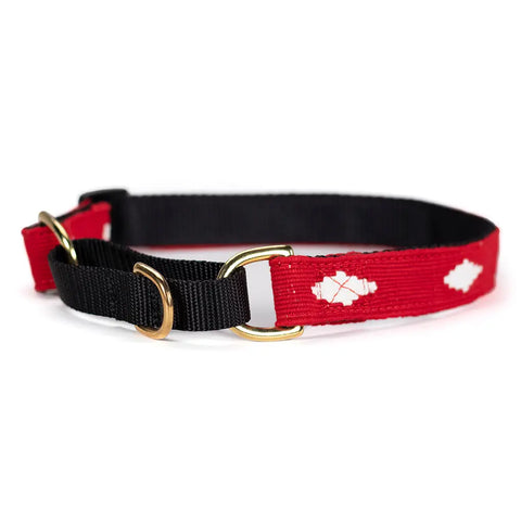 Handwoven Martingale Dog Collar 1 Inch Wide Adjustable 11-30 Inch – Durable Nylon & Brass | Made in USA Auburn Leathercrafters  item