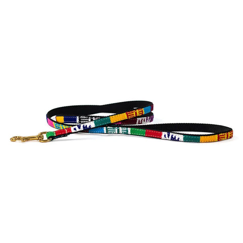 Handwoven Nylon Dog Leash With Brass Hardware – Durable Standard Leash | Made In USA Auburn Leathercrafters  item