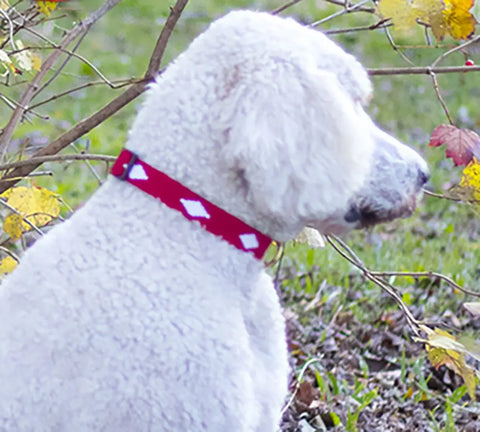 Handwoven Red Side-Release Dog Collar – Durable Nylon with Solid Brass Hardware | Made in USA Pet Collar Auburn Leathercrafters  item