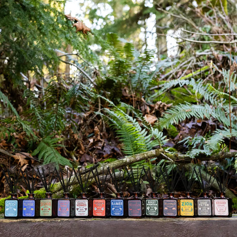 Hawaii Volcanoes National Park Reed Diffuser Good & Well Supply Co. 