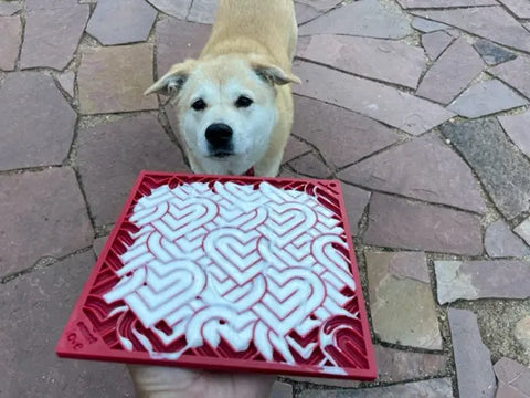 A person holds the red, square Heart Design Love EMat Lick Mat by SodaPup, featuring interlocking hearts, in front of a small, light brown dog on a stone patio ready for their favorite treat and some enrichment toy fun.