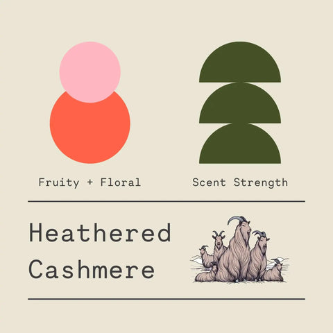 Graphic displays two colored shapes for fruity and floral, medium-strength scent. Text highlights Heathered Cashmere - Signature Candle by Sawdust & Embers, with cashmere goat illustration below.