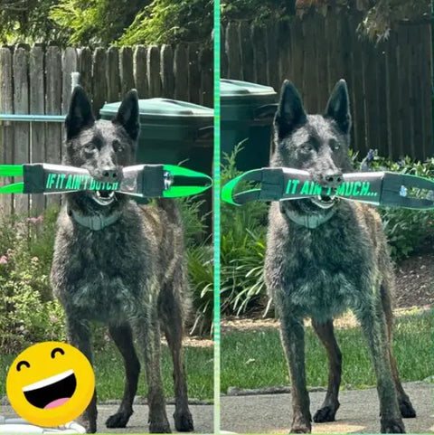 A black and gray dog stands outdoors holding Bulletproof Pet Products Inc’s green If It Ain’t Dutch It Aint Much Fire Hose Training Tug in its mouth. The split image shows two angles, with a smiling emoji at the bottom left.