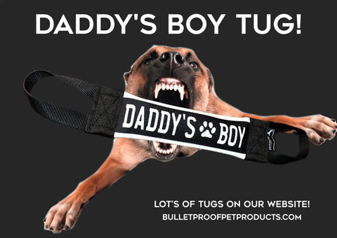 A dog bites a black, durable Daddys Boy Fire Hose Training Tug from Bulletproof Pet Products Inc, labeled DADDYS BOY. DADDYS BOY TUG! appears above; below advertises USA-made dog toys at bulletproofpetproducts.com.