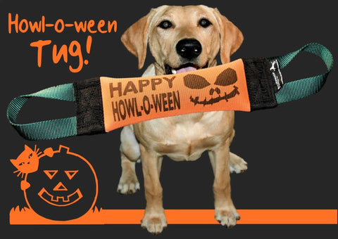 A yellow Labrador holds the Bulletproof Pet Products Inc Happy Howl-O-Ween Fire Hose Training Tug—Holiday Series, a Halloween dog toy reading HAPPY HOWL-O-WEEN with jack-o-lanterns. Howl-o-ween Tug! appears above with cat and pumpkin graphics.