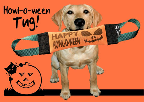 A yellow lab on an orange background holds the Happy Howl-O-Ween Fire Hose Training Tug by Bulletproof Pet Products Inc, featuring a jack-o-lantern face and “HAPPY HOWL-O-WEEN.” Text reads Howl-o-ween Tug! with jack-o-lantern and cat graphics.