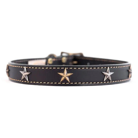 Heirloom Full Grain Leather Dog Collar – Antiqued Star Studded Design | Made in USA by Auburn Leathercrafters Auburn Leathercrafters  item