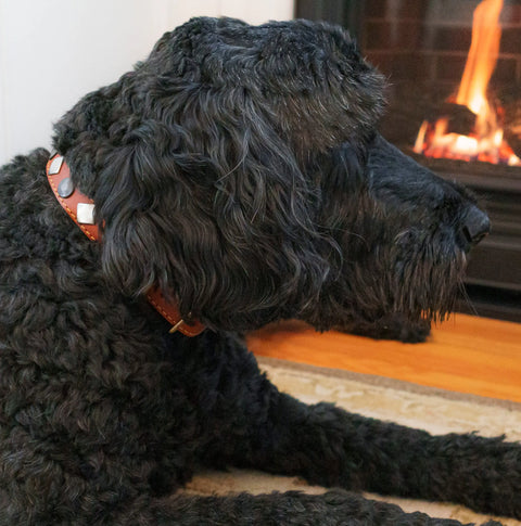 Heirloom Studded Collar Auburn Leathercrafters  item