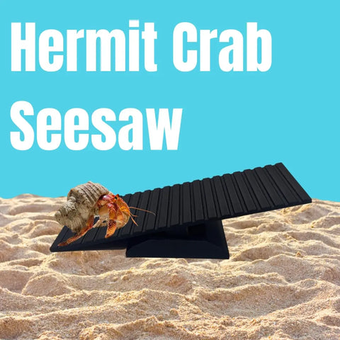 Hermit Crab See-Saw Cage Accessory – Interactive Pet Toy | Made in USA Chatelet Manufacturing 