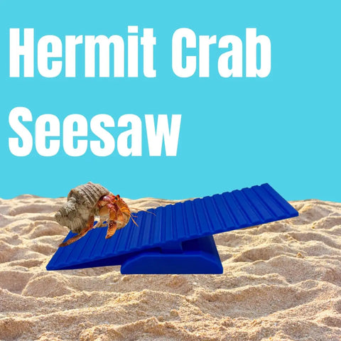 Hermit Crab See-Saw Cage Accessory – Interactive Pet Toy | Made in USA Chatelet Manufacturing 