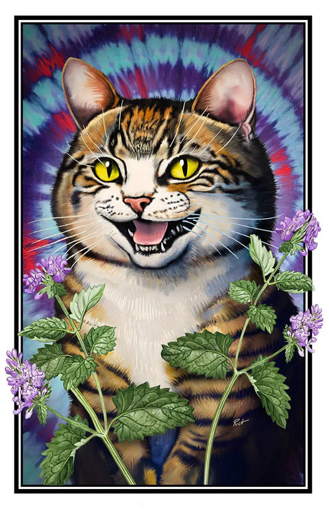 Hippie Cat Retro Poster – Vintage 1960s Tie-Dye Wall Art | Made in USA Skinny Pete's Gourmet Catnip  Art