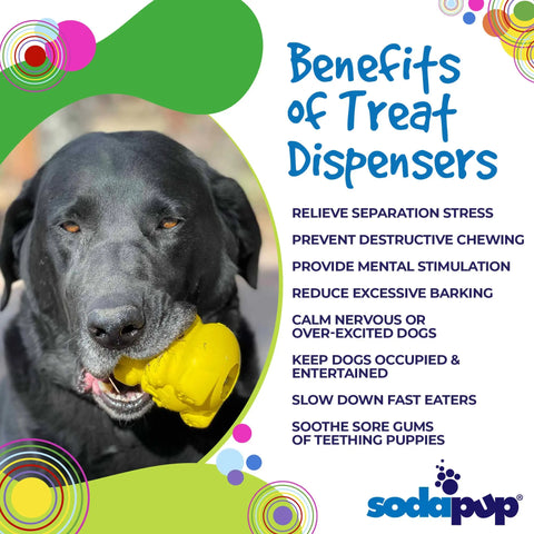 A black dog holds the SodaPup Honey Bear EDispenser Durable Rubber Treat Dispenser in its mouth. The dispenser relieves stress, prevents destructive chewing, provides mental stimulation, and soothes teething puppies.