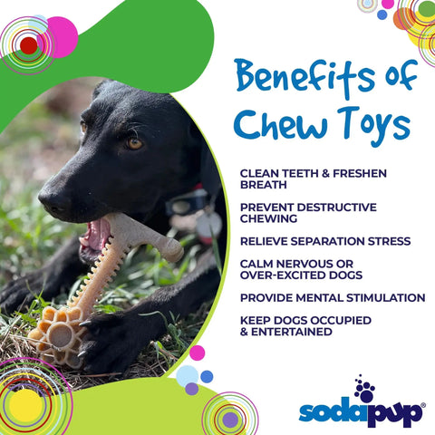 An XL black dog enjoys the Honey Bone Dental Flower Tower EChew Ultra Durable Nylon Dog Chew Toy by SodaPup outdoors. Text highlights dental toy benefits: cleans teeth, relieves stress, entertains. SodaPup logo shown below.