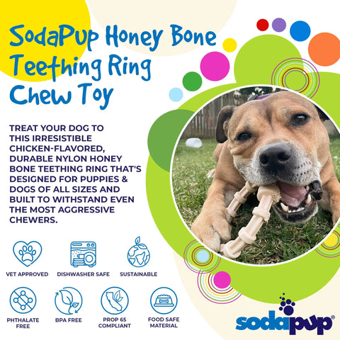 A brown dog lies on grass chewing a white bone-shaped toy. The SodaPup Honey Bone Chicken Flavored Teething Ring is durable for power chewers, safe, and great for puppies and dogs of all sizes.