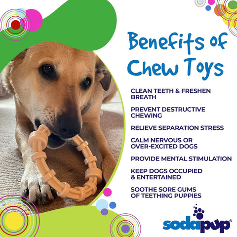 A dog chews on the beige SodaPup Honey Bone Chicken Flavored Teething Ring. Text highlights benefits like dental health, mental stimulation, and stress relief for power chewers. The SodaPup logo appears at the bottom.