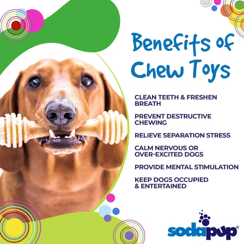 A brown dog holds the Honey Bone EChew Ultra Durable Nylon Dog Chew Toy by SodaPup. Text highlights benefits like dental health, stress relief, mental stimulation, and entertainment for power chewers. Colorful circles and a SodaPup logo are shown.