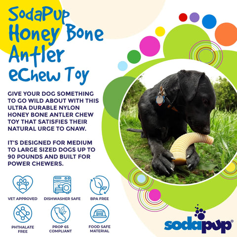 A black dog chews on a yellow SodaPup Honey Bone Dental Antler EChew Ultra Durable Nylon Dog Chew Toy - XL outdoors. The image features colorful circles and text highlighting its strength for power chewers.
