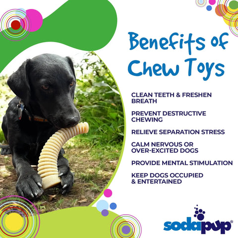 A black dog sits on grass holding the SodaPup Honey Bone Dental Antler EChew Ultra Durable Nylon Dog Chew Toy - XL. Text highlights benefits like dental health, stress relief, and entertainment. Bright, colorful circles decorate the image.