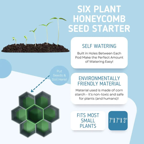 Six seedlings sprout in soil above a Chatelet Honeycomb Seed Starter Tray Set—a green, self-watering, reusable 6-tray seed starter by Chatelet Manufacturing. Made in the USA for veggies, flowers, and microgreens. Eco-friendly and perfect for small plants.