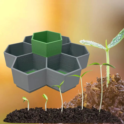 A set of Chatelet Honeycomb Seed Starter Trays by Chatelet Manufacturing, featuring six reusable self-watering germination trays, floats above soil with young seedlings and a sprouting plant against a soft, warm background.