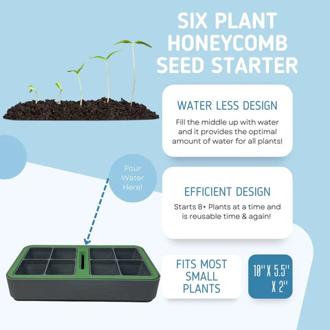 Chatelet Honeycomb Seed Starter Tray Set by Chatelet Manufacturing features 6 reusable, self-watering trays for vegetables, flowers, and microgreens. Compact at 10 x 5.5 x 2 inches. Made in USA; fits most small plants for efficient germination.
