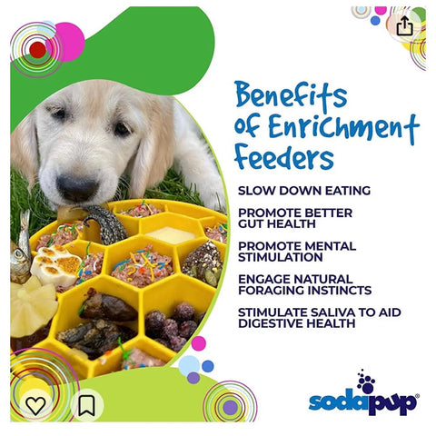 A golden retriever puppy sniffs a yellow SodaPup Honeycomb Design EBowl Enrichment Slow Feeder Bowl filled with treats. Benefits listed include slower eating, improved gut health, and enhanced mental stimulation.