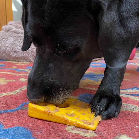 Swiss Cheese Wedge Durable Nylon Dog Chew Toy – Tough Power Chewer | Made in USA SodaPup  Nylon Dog Toys