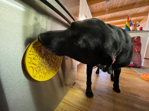Duckies Design Enrichment Lick Mat With Suction Cups – Interactive Dog Toy | Made in USA SodaPup  EMAT