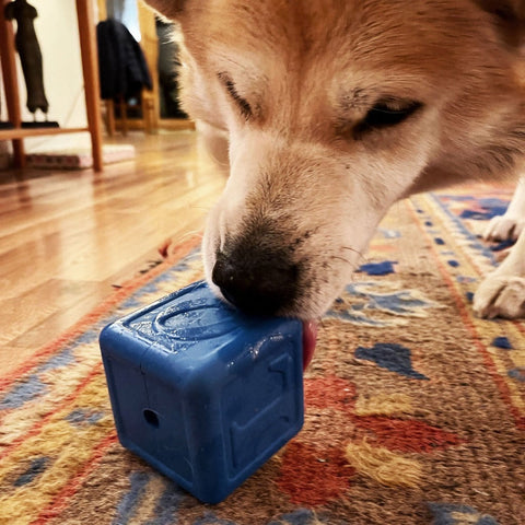 SodaPup Durable Rubber Love Cube Dog Chew Toy – Treat Dispenser | Made in USA SodaPup  Rubber Dog Toys