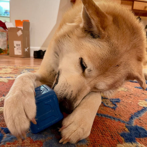 SodaPup Durable Rubber Love Cube Dog Chew Toy – Treat Dispenser | Made in USA SodaPup  Rubber Dog Toys
