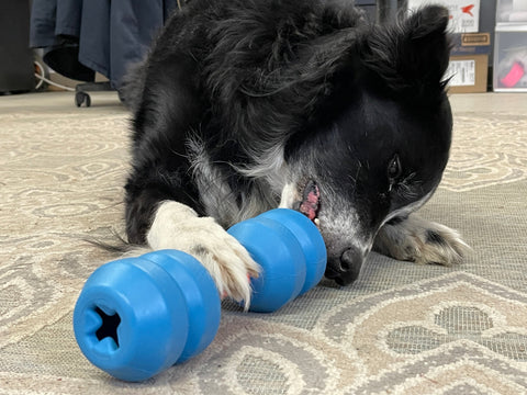 Unstoppables Connector Set – SodaPup Dog Treat Toy Links – 2 Pack | Made in USA SodaPup  Nylon Dog Toys