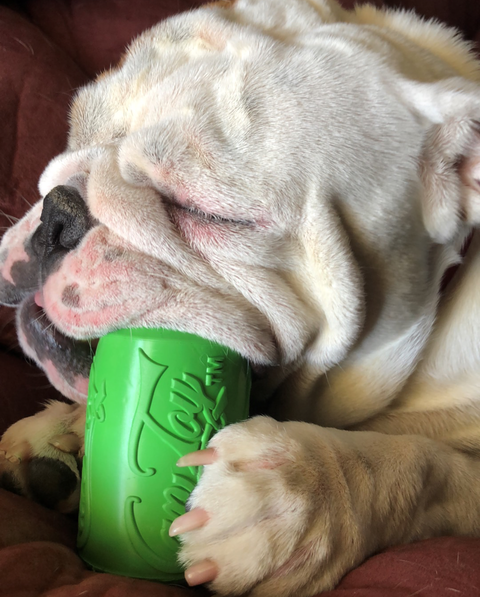 SodaPup Can Toy EDispenser – Durable Rubber Treat Dispensing Chew Toy | Made in USA SodaPup  Rubber Dog Toys