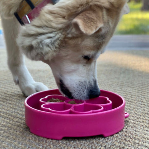 Flower Design Slow Feeder Dog Bowl – Interactive Enrichment Mealtime | Made in USA SodaPup  EBOWL