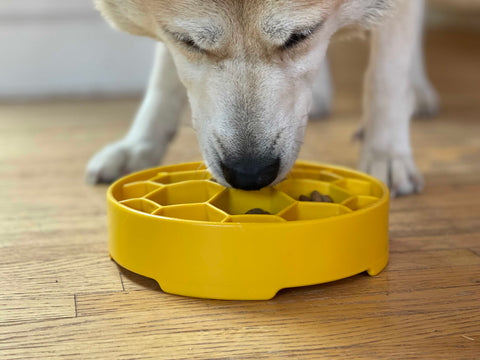 Honeycomb Slow Feeder Dog Bowl – Canine Enrichment Design | Made in USA SodaPup  EBOWL
