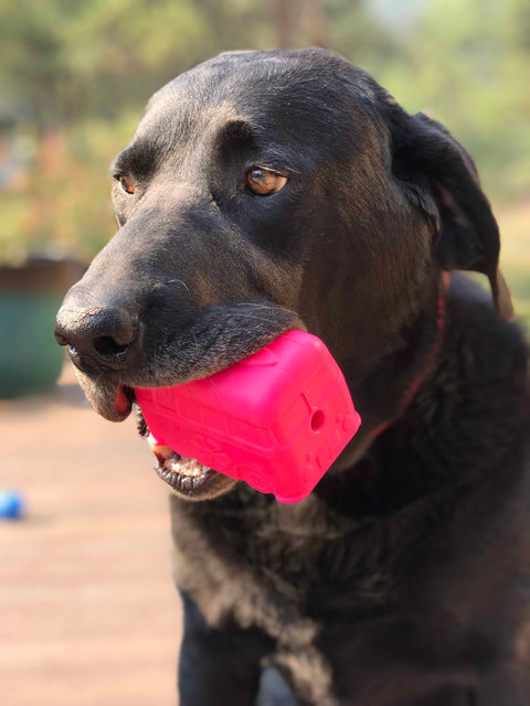 Surf's Up Retro Van Durable Dog Chew Toy – Treat Dispenser | Made in USA SodaPup  Rubber Dog Toys