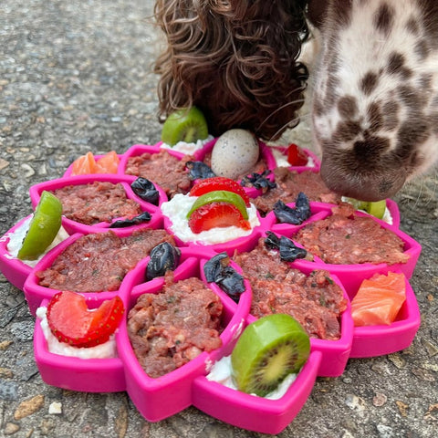 Mandala Design Dog Enrichment Slow Feeder Tray – Interactive Lick Mat | Made in USA SodaPup  ETRAY