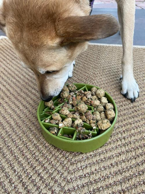 Pine Tree Slow Feeder Dog Bowl – Enrichment Pet Feeder | Made in USA SodaPup  EBOWL