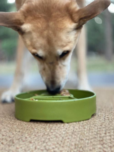 Pine Tree Slow Feeder Dog Bowl – Enrichment Pet Feeder | Made in USA SodaPup  EBOWL