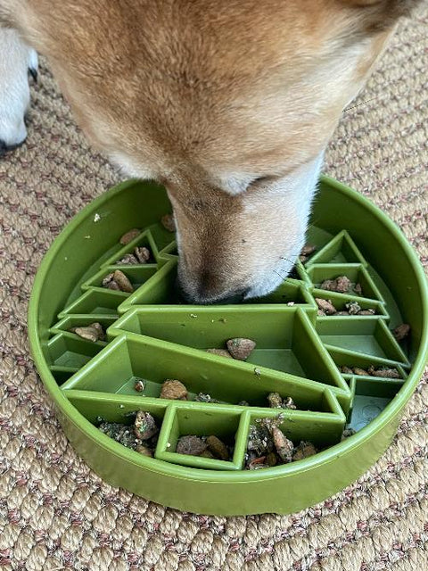 Pine Tree Slow Feeder Dog Bowl – Enrichment Pet Feeder | Made in USA SodaPup  EBOWL