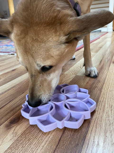 Mandala Slow Feeder Dog Bowl – Soft Silicone ETray With Suction Cups | Made in USA SodaPup  ETRAY