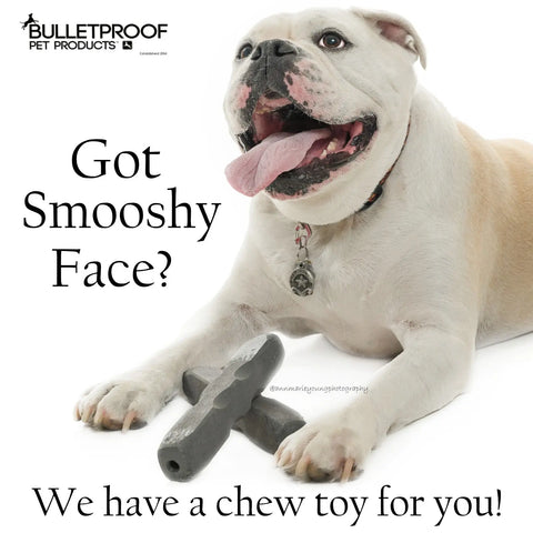 Indestructibone Durable Smooshy Face Chew Toy 3 Pack – For Brachycephalic Dogs 40-80 Lbs | Made in USA Bulletproof Pet Products Inc  Indestructibone chew toys
