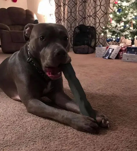 Indestructibone Mega Max 12 Inch Durable Dog Chew Toy – For 51-100 Lbs Dogs | Made in USA Bulletproof Pet Products Inc  Indestructibone chew toys